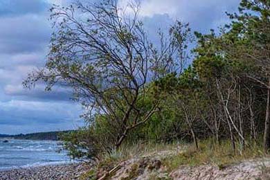 49图库app下载大全(香港图库资料大全)