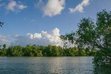 澳门论坛六肖资料网址(一码一肖100准免费资料最准确)