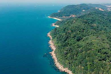 天涯论坛最著名十大情感贴(天涯经典情感论坛)